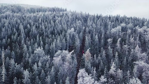 Logging Machine in the woods. Forest machinery, Cutting trees aerial shot