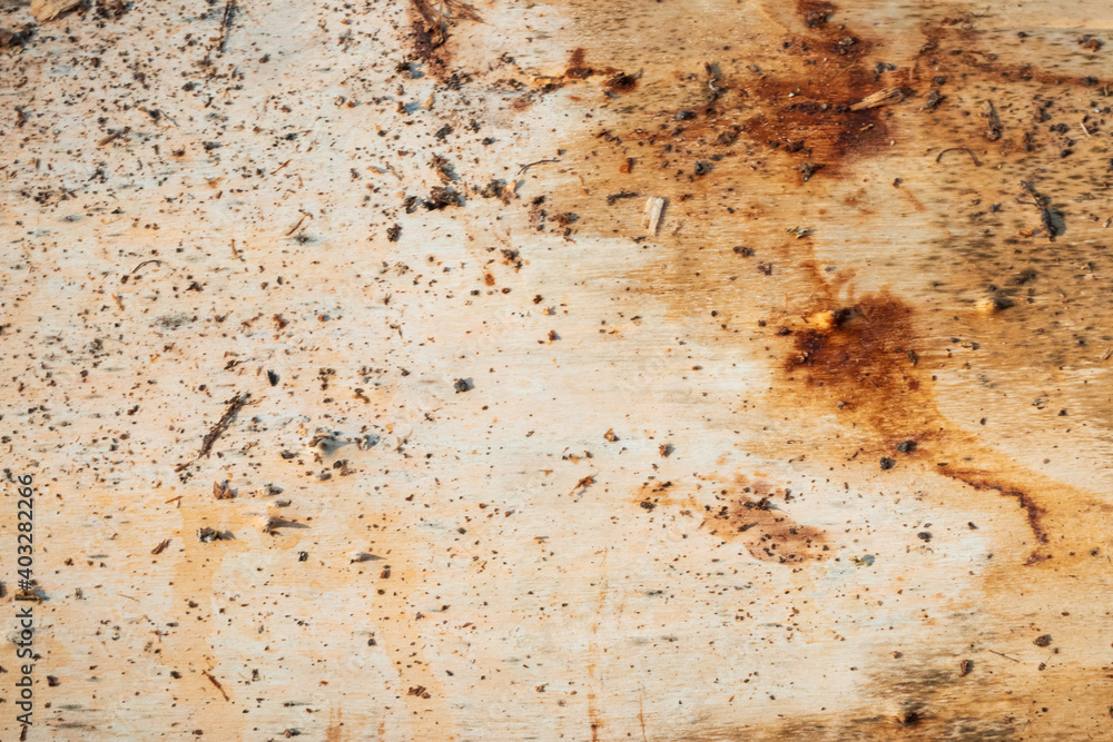 Wood texture or wood background, tree stumps. Wood texture or wood background, tree stumps.