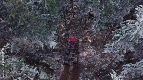 Logging Machine in the woods. Forest machinery, Cutting trees aerial shot