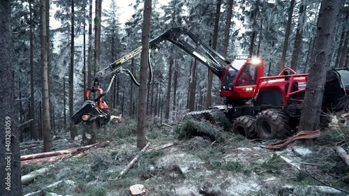 Logging Machine in the woods. Forest machinery, Cutting trees