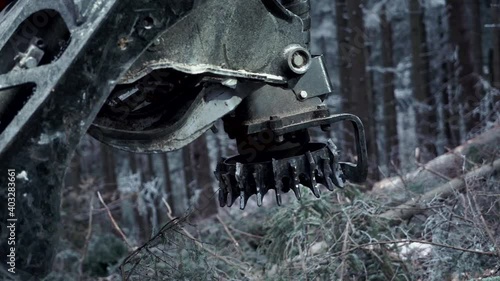 Logging Machine in the woods. Forest machinery, Cutting trees