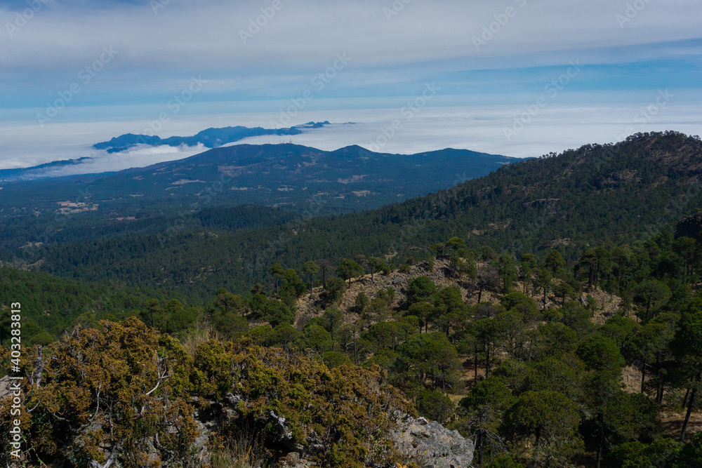 Cofre de Perote