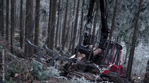 Logging Machine in the woods. Forest machinery, Cutting trees