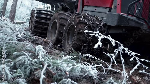 Logging Machine in the woods. Forest machinery, Cutting trees