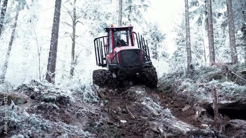 Logging Machine in the woods. Forest machinery, Cutting trees