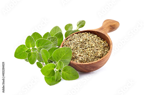 Oregano or marjoram leaves isolated on white background. Oregano fresh and dry.