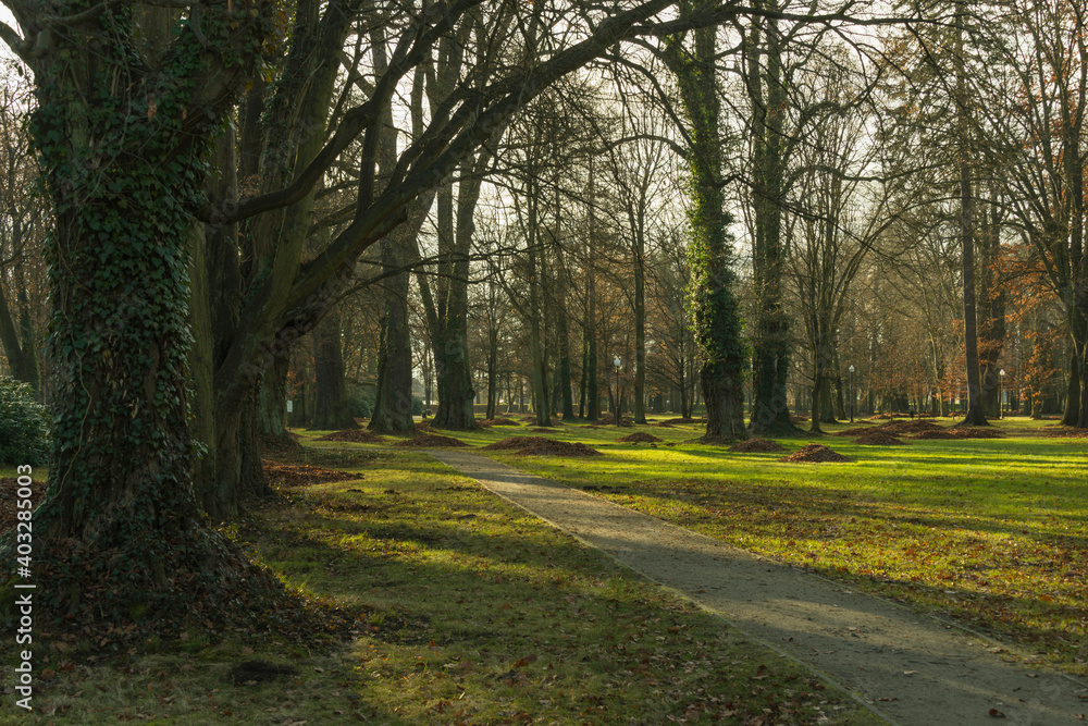Fototapeta premium Park Dworski w Iłowej.