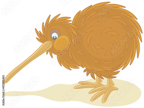 Amusing flightless New Zealand kiwi bird with shaggy feathers and a long bill, vector cartoon illustration isolated on a white background