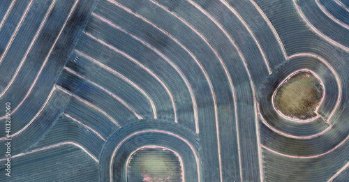 connecting worlds, United States, abstract photography of relief drawings in  fields in the U.S.A. from the air, Genre: Abstract Naturalism, from the abstract to the figurative,  