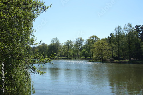 See