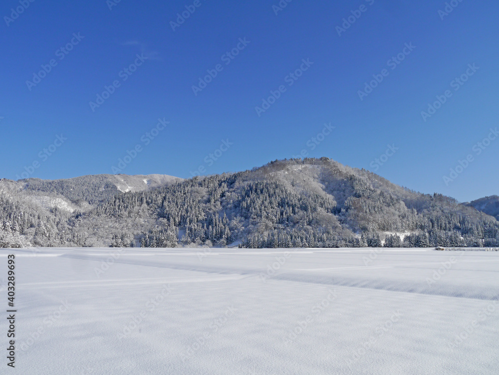 Obraz premium 秋田の積雪