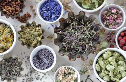 Assortment of dried herbs  blossom  root and seed  flat on the table  lavender  chamomile  lime  rose  cornflower  meadowsweet  thyme and others overhead top view  naturopathy and medicine concept