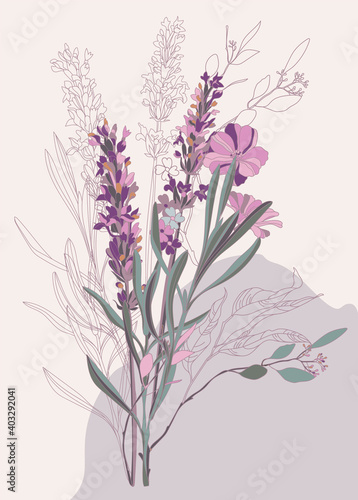  Botanical sketch of lavender flowers with leaves on an abstract background