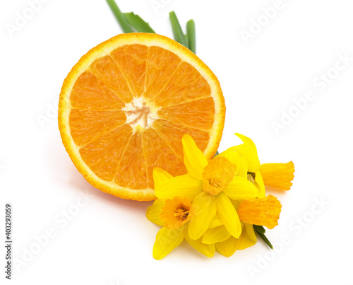 One sliced orange with daffodils.