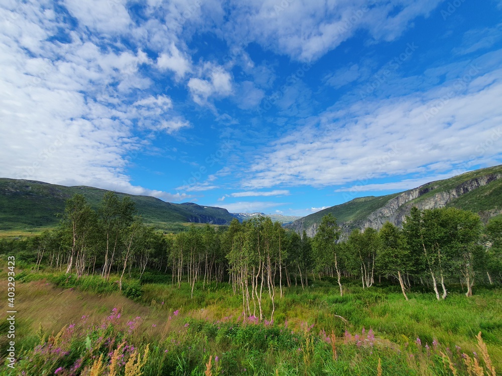 landscape with a view of the sky, mountains and forests - Vøringsfossen