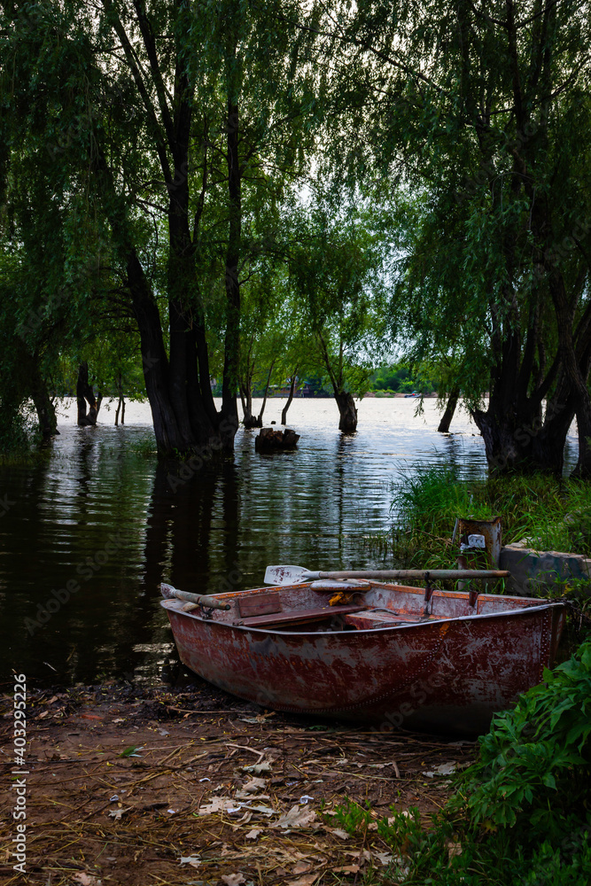 Boat on the bank of the swollen river under trees. 