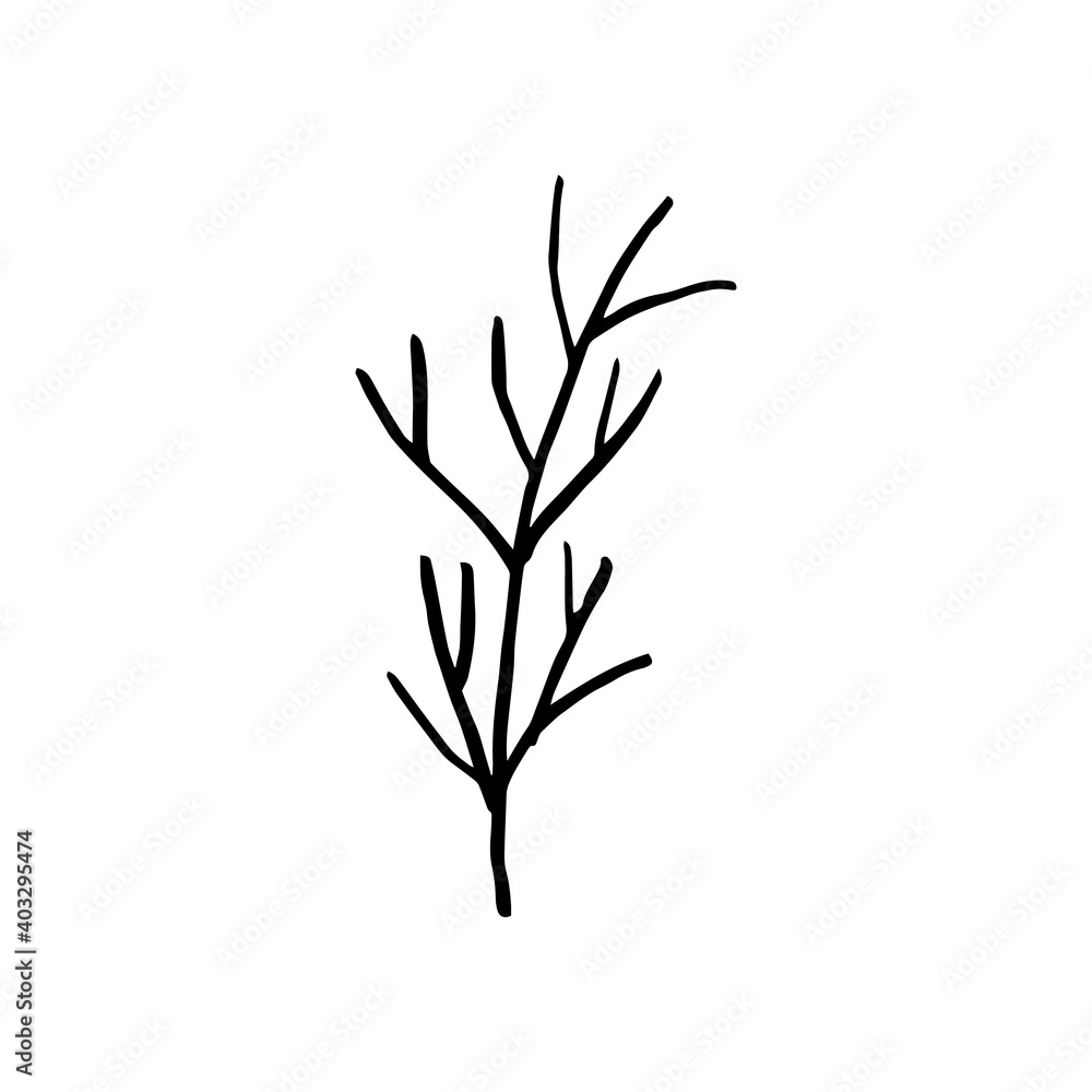 Obraz premium Doodle seaweed. hand drawn of a seaweed isolated on a white background. Vector illustration sticker, icon, design element