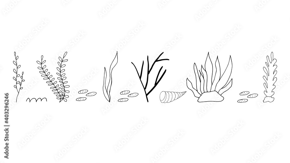 Doodle seaweed with shells and stones. hand drawn of a seaweed with shells and stones isolated on a white background. Vector illustration sticker, icon, design element