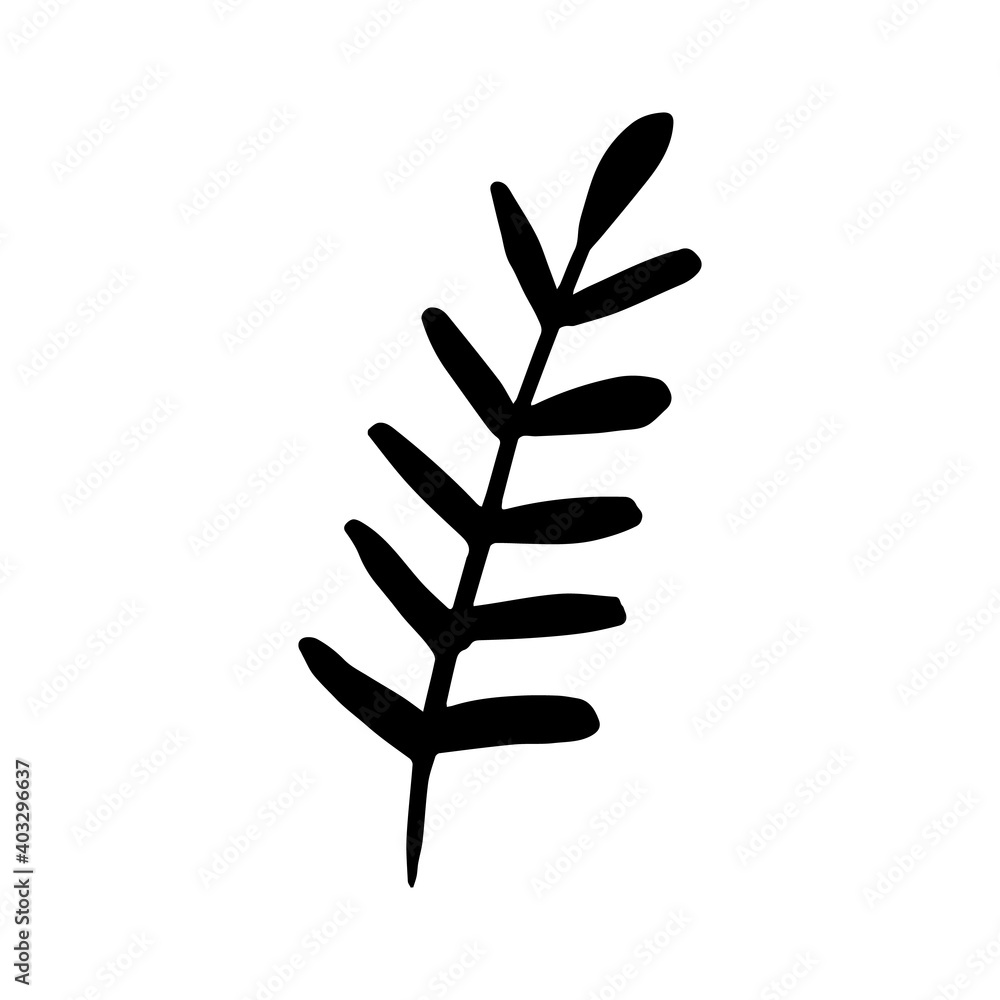 Forest leaves hand drawn vector. autumnal garden leaf Isolated on white background. Botanical forest plants or september october tree foliage Forest leaves hand drawn vector. autumnal garden leaf Isolated on white background. Botanical forest plants or september october tree foliage