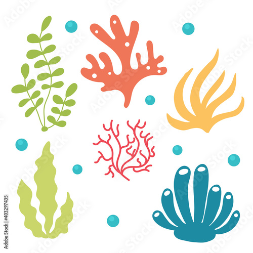 Set of bright algae and corals. Bundle Sea and ocean aqua underwater flora. Vector flat isolated illustration