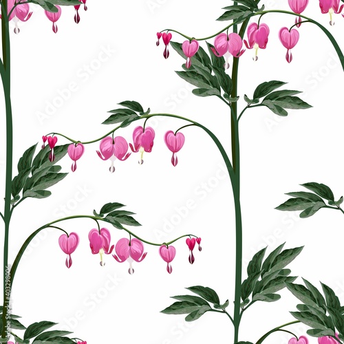 Seamless background from a flowers ornament, fashionable modern wallpaper or textile. Illustration "bleeding heart" (Dicentra spectabilis) on white background.