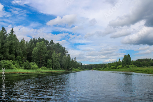 Russian nature. Russian forest, Russian river.