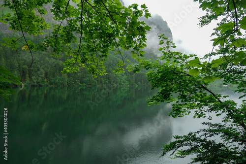 An idyllic Leopoldsteiner lake in Austria. The lake is surrounded by high Alps  covered in thick fog. Rainy weather. Green tree brunches. Moody and mysterious atmosphere. Soft reflections on the lake