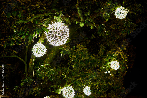 Árbol con esferas de luces colgadas en las ramas