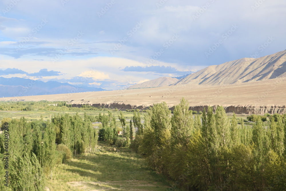 Naklejka premium neture and view