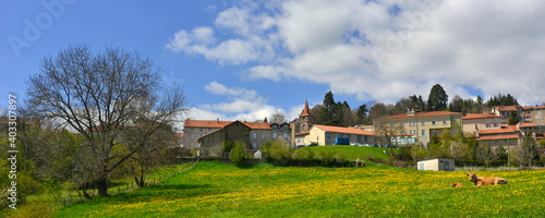 Panoramique Allègre (43270) et le pré de pissenlits, Haute-Loire en Auvergne-Rhône-Alpes (France)