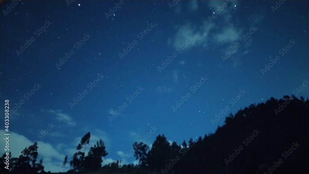 Stock Photo de paisaje de noche de arboles con estrellas