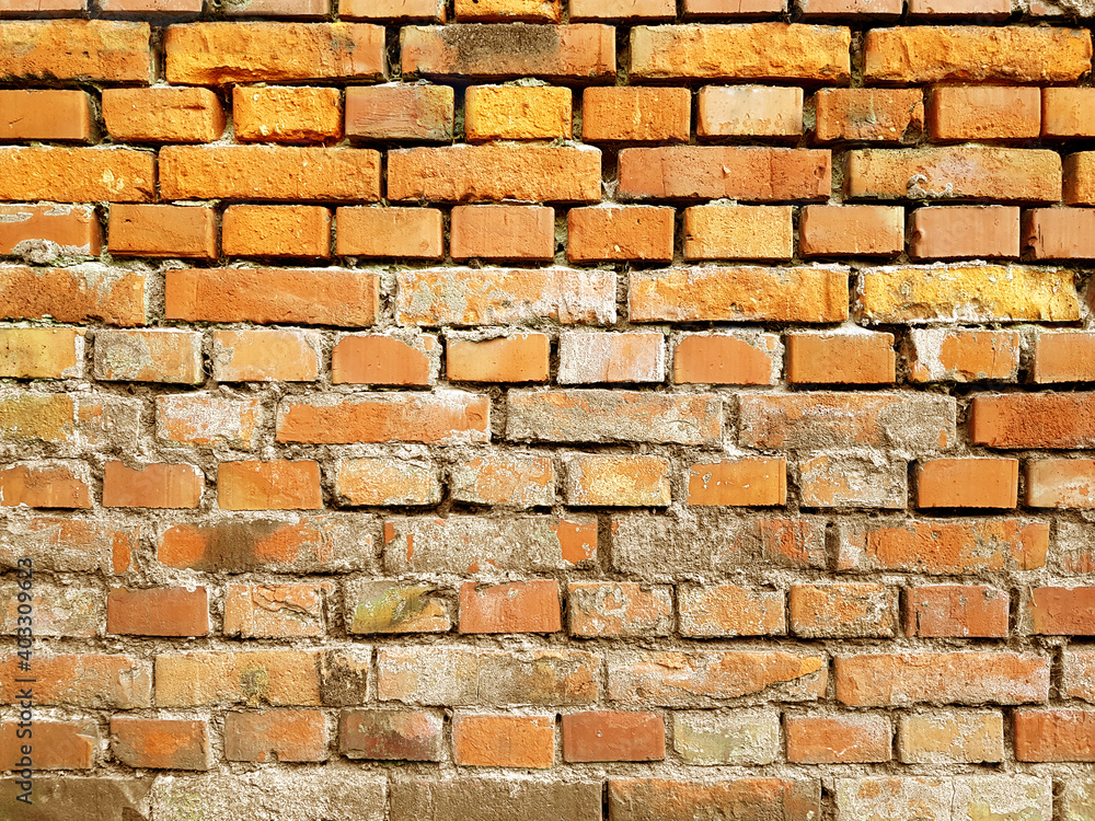 Fototapeta premium Old vintage red brick wall with falling plaster white texture background