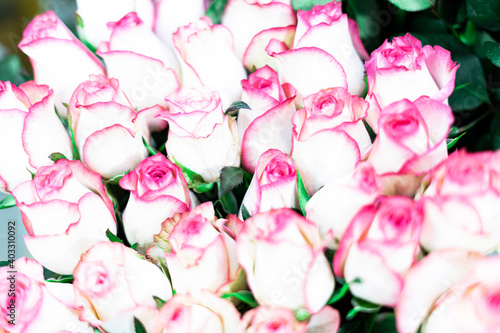 Fototapeta Naklejka Na Ścianę i Meble -  Bouquet of roses with light pink petals