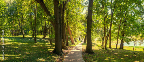 Summer sunny landscape with stone tile road passing between the old trees in shady park