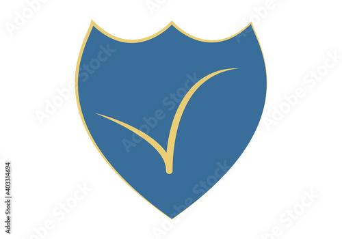 Escudo azul con tic dorado por la protección de datos.