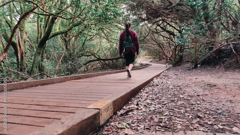 Woman walking along a path in a forest Woman walking along a path in a forest