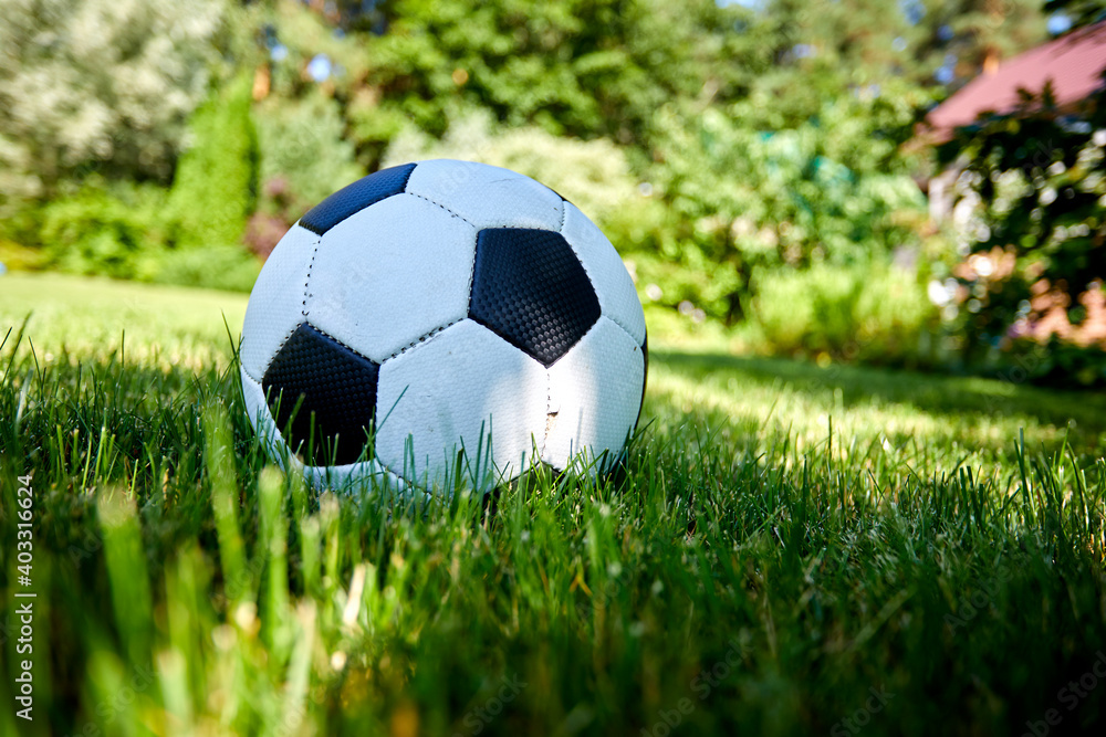 Fototapeta premium ball on the green meadow