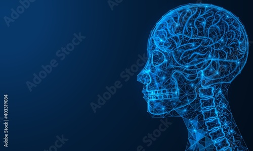 Scientific medical research of the brain. Bone tissue of the skull and upper spine. Polygonal design of a human head made of interlocked lines and dots. Blue background.