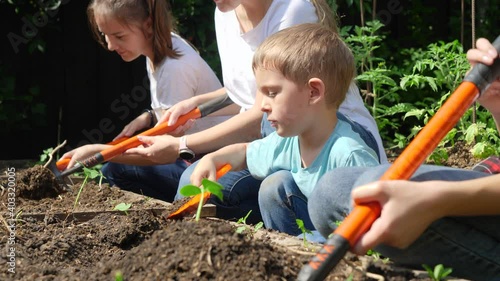 Slow motion video of little boy digging soil in garden with his family and planting vegetables. Family planting organic seedlings and sprouts in fertilized soil at backyard garden.