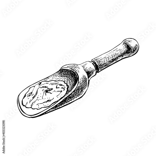 Chilli. Chilli whole, half and slice. Vector vintage hatching