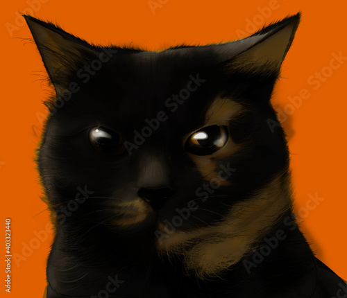 cat