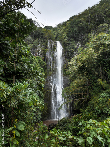 waterfall in Maui   Hawaii rainforest