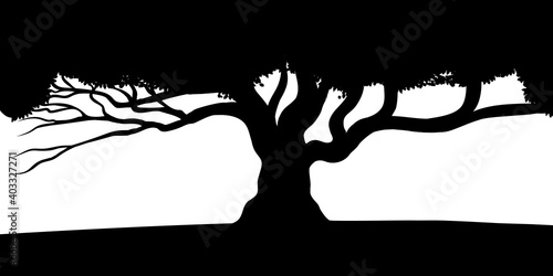 Vector tree silhouette, black and white vectorial shape,
