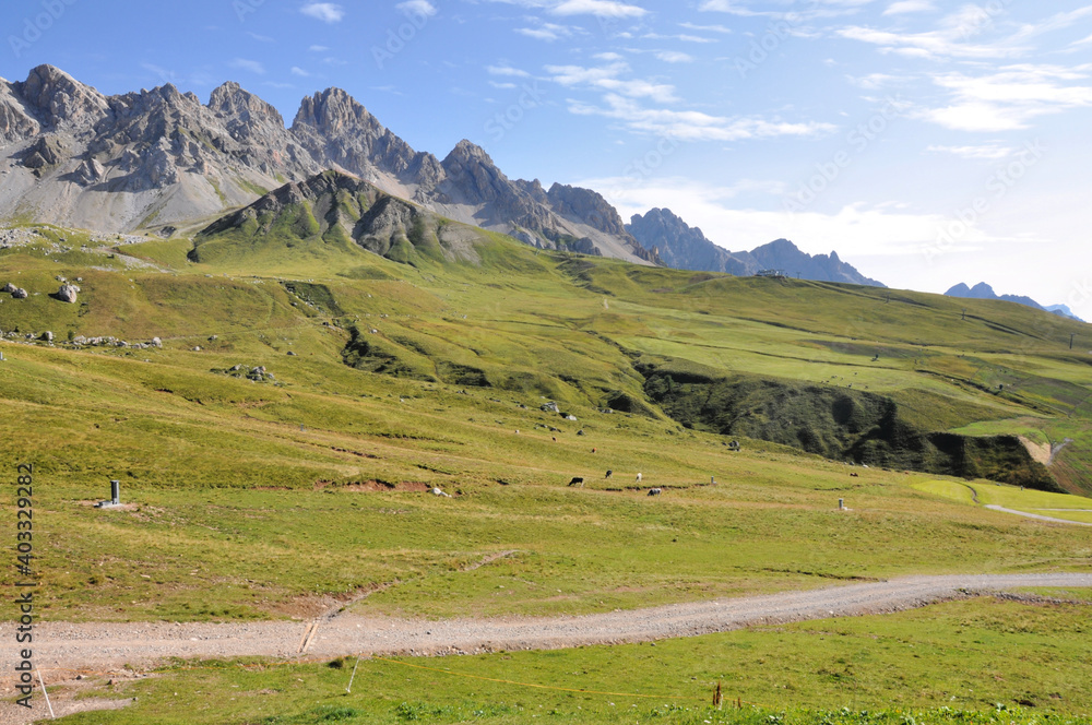Fototapeta premium Widok ze szlaku na soczyście zielone pastwiska z górami w tle