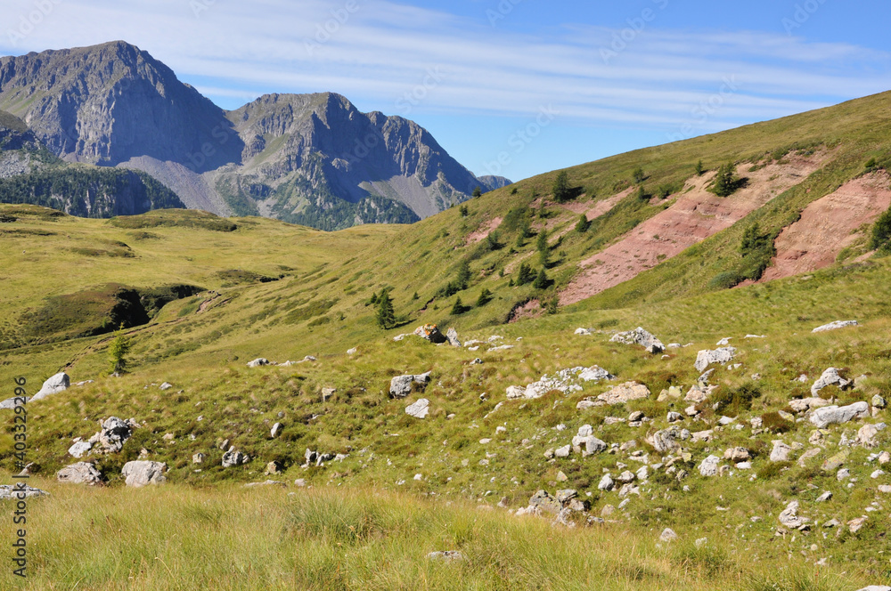 Zielona, górska hala, Dolomity, Włochy