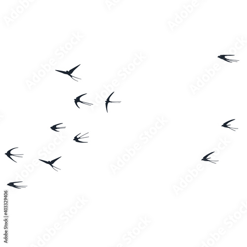 Flying martlet birds silhouettes vector illustration. Nomadic martlets flock isolated on white. © SunwArt