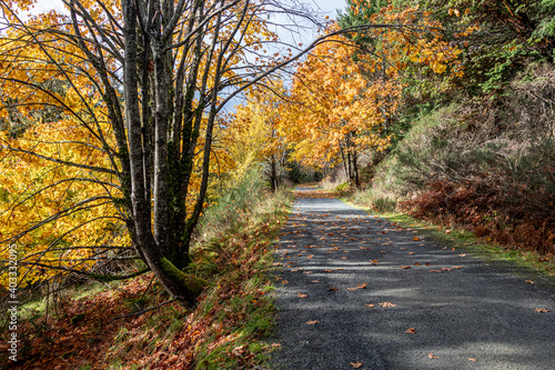 Fototapeta Naklejka Na Ścianę i Meble -  scenic autumn landscape on the Galloping Goose Trail, Victoria, British Columbia in October