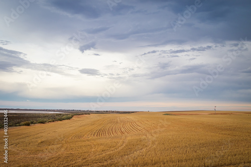 Wheat fields