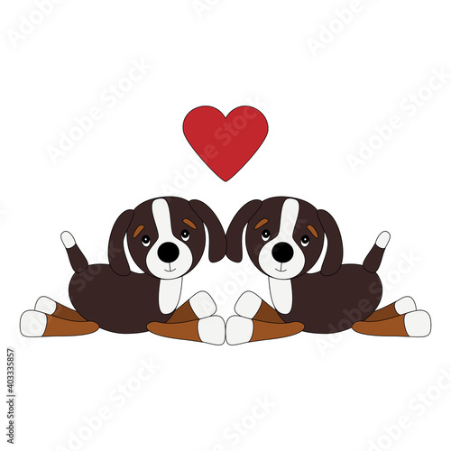 Bernese mountain dog puppies in love