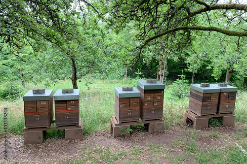 wooden boxes, beehives, apiary in the garden, the concept of ripening natural honey, pollination of honey plants, ecological products, environmental protection